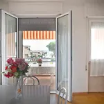 Vacanze 3 Follonica